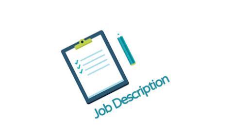 Job Role Counseling